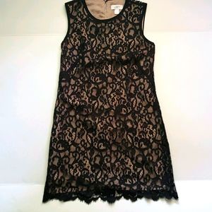 LOFT Ann Taylor Black Lace Sleeveless Dress Size 2